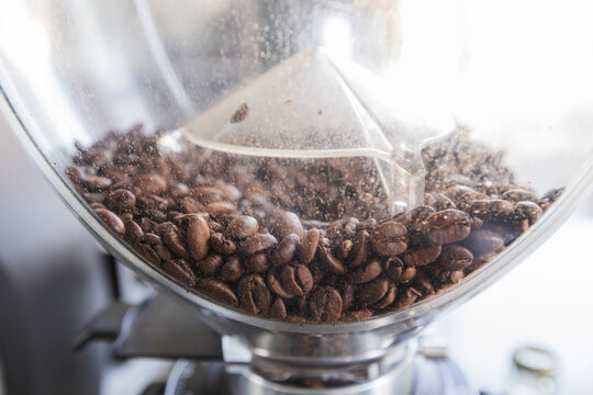 Coffee grinder filled with beans in sunlit café setting with visible burr mechanism - Powered by Adobe