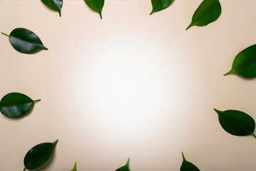 Fresh green leaf frame on a cream background