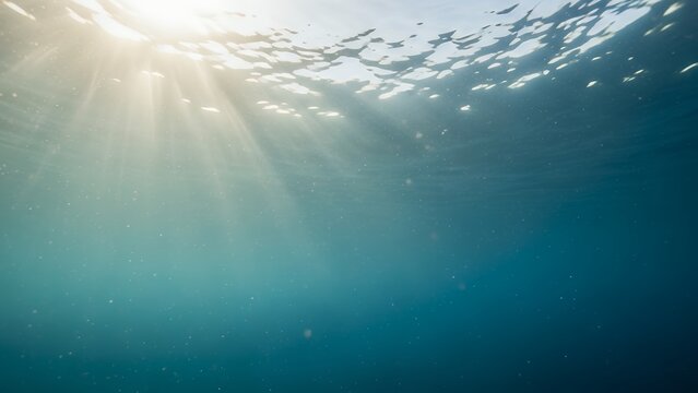 Calm Underwater View with Sunlight Beams Penetrating Ocean Surface Ideal for Nature, Wellness, and Scenic Marine Backdrops
