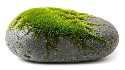 Mossy Stone A serene harmony of nature, moss clinging to a smooth stone, a miniature landscape