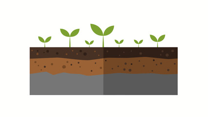 Illustration of seedlings growing in soil layers vector design