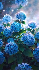 Lush Blue Hydrangeas Blooming A Captivating Display of Nature's Beauty in the Sunlight