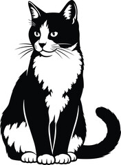 Black and white tuxedo cat sitting vector illustration, cute domestic pet silhouette looking sideways, animal portrait isolated on white background for veterinary design logo