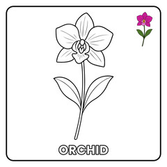 Orchid Flower Garden Children coloring page