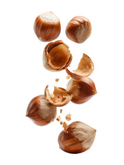 Fresh Hazelnuts Falling Top to Bottom on Transparent Background