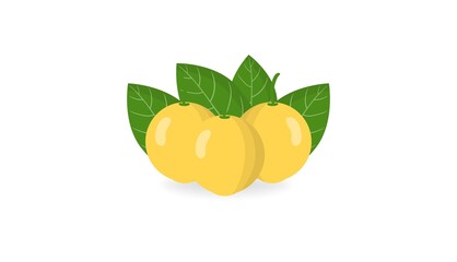 Realistic Langsat Fruit Illustration Set on White Background. High-clarity vector-style artwork created for maximum commercial usability and licensing potential.