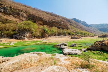 Wadi Darbat in Dhofar, Oman: calm turquoise pool reflecting green trees and rugged mountains beneath a vivid blue sky, a serene desert oasis and scenic natural park