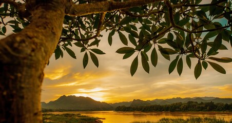 Beautiful mountains river