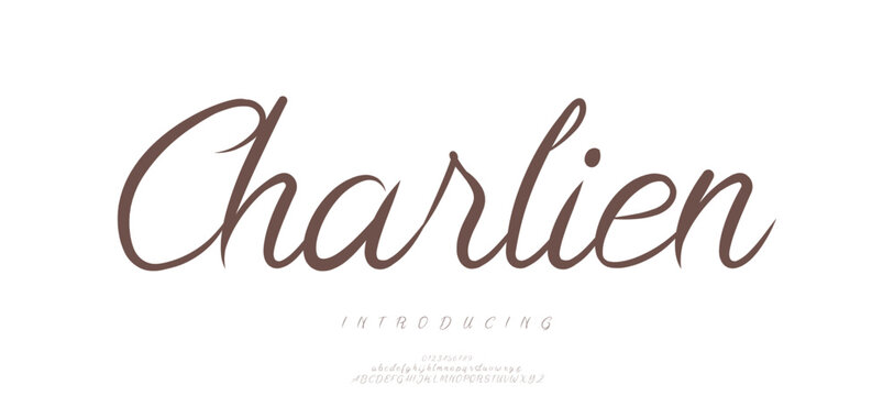 Modern display alphabet design with uppercase, lowercase, numbers and symbol