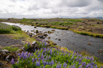 South Iceland, view across stream and meadow to mountains on an overcast day