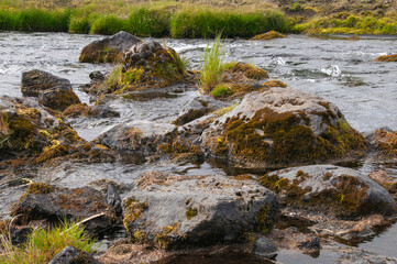 South Iceland, rocks covered with moss in creek