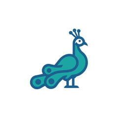 Elegant teal peacock in simple design