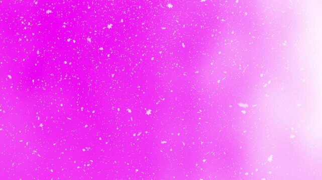 Floral pattern valentine backdrop with bright pink canvas speckled with tiny white flowers. Suitable for romantic designs and valentines day projects.