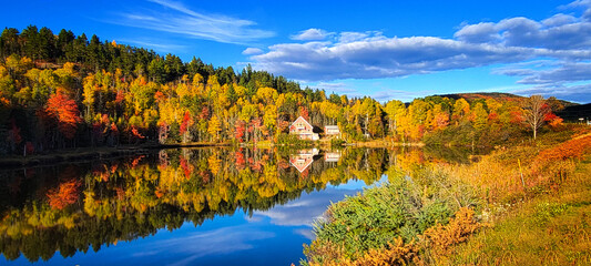 Autumnal colors in the forest on Chemin de Port aux Quilles, Saint Sim&eacute;on, Canada, Quebec