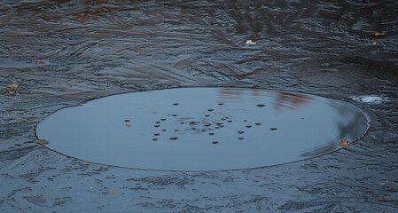 an open circle in the ice on a puddle shows the water underneath with small air bubbles