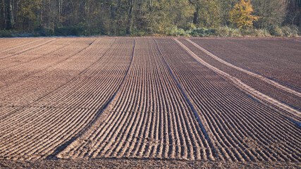 an empty plowed agricultural field with distinctive lines leading towards a forest border
