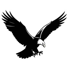 Bald eagle in flight silhouette isolated on white background