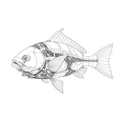 Cyborg Fish Future Design Very Cool