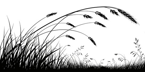 Naklejka premium Silhouette of grass and wheat stalks blowing in the wind on a white background view