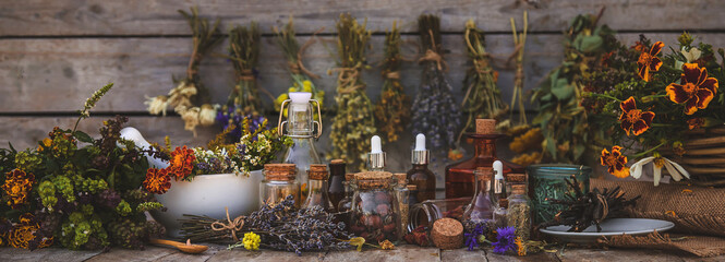 Medicinal herbs and tinctures homeopathy. Selective focus.