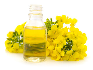 Rapeseed flowers and rapeseed oil bottle isolated on white