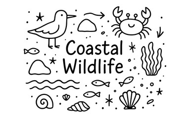 Obraz premium Coastal wildlife doodles: bird, crab, and sea life in simple line art