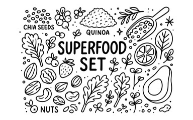 Hand drawn superfood ingredients set with nuts, seeds, and fruits