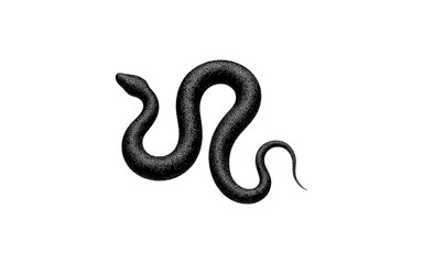 Fototapeta premium Detailed monochrome snake: realistic shaded illustration of a coiled serpent
