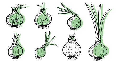 Onions collection with transparent background