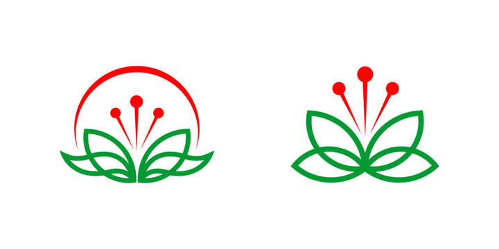 Elegant Floral Designs: Intricate floral designs in red and green, perfect for any branding or decorative project, emphasizing natural beauty and artistic finesse.