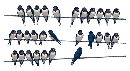 Swallows perched on wire with transparent background