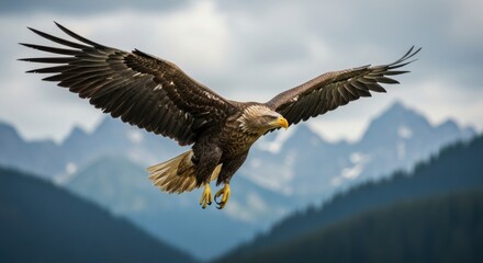 Fototapeta premium Majestic Eagle Soaring Over Mountains with Wings Spread