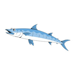 Barracuda fish cartoon icon illustration