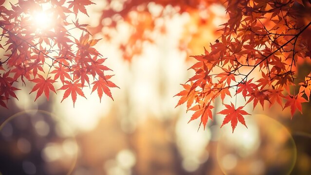 Red maple leaves in sunlight with soft bokeh background autumn fall - Powered by Adobe