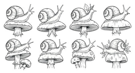 Snails on mushrooms black and white outline