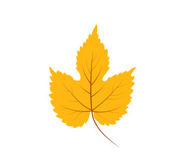 Hand drawn orange autumn leaf vector illustration isolated on white background. Simple viburnum tree leaf