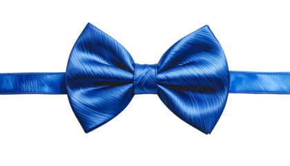 Vivid blue bow tie with textured, silken fabric