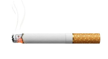 Smoking cigarette with rising smoke illustrates addiction, health risks, and cessation campaigns; a symbol for dangers, prevention, and personal choices