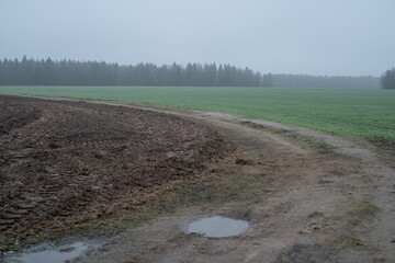 plowed field in autumn