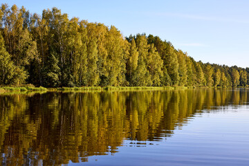 Tranquil River Reflections of Autumn Trees
