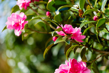 散歩の途中で見つけた深まる秋の風景