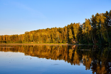 Tranquil River Reflections of Autumn Trees