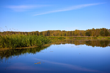 Obraz premium Serene Lake View with Lush Greenery and Clear Sky