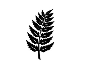 Naklejka premium Elegant Silhouette Fern Frond Black White | Clean, isolated vector art for creative projects.