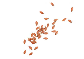 Flax seeds group isolated, healthy eating concept, natural food ingredient, vegan diet, omega 3 source, brown seeds on transparent background isolated on transparent background