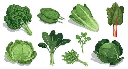 Assorted leafy greens collection with transparent background