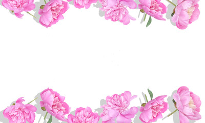 Soft pink blossoms frame the edges of a white background, creating a bright and elegant floral border. Perfect for invitations, greeting cards, and seasonal designs