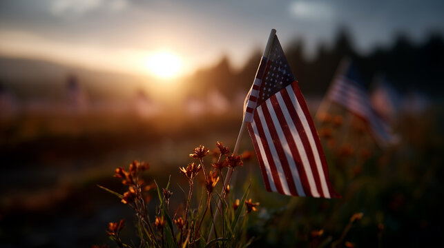 sunset scene over a large field filled with rows of small American flags, each mounted on a white cross-like marker. the flags are gently waving in a warm evening breeze, creating