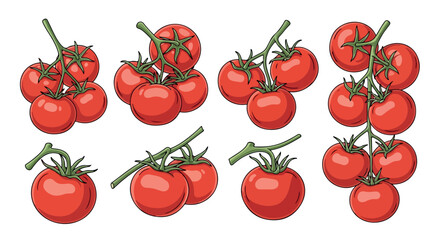 Red tomatoes on stems with transparent background