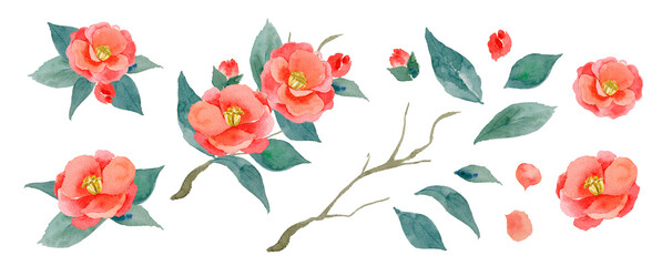 水彩の椿 蕾と葉のセット